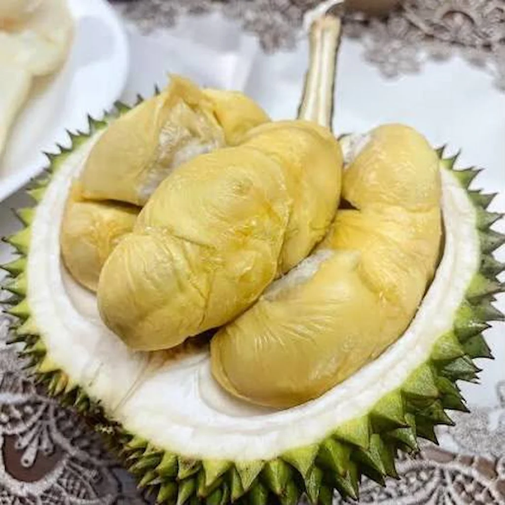 Free Durian Survey 1